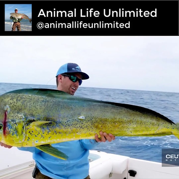 Top 10 Best Fishing Moments from 2019
