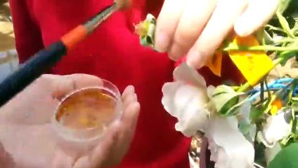 완주출장안마 -후불100%ョOiOc7685c6221｛카톡MGM1472｝ 완주전지역출장안마 완주오피걸 완주출장마사지 완주안마 완주출장마사지 완주콜걸샵☜●♀