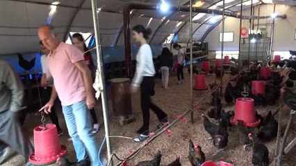 Köylülerden örnek proje