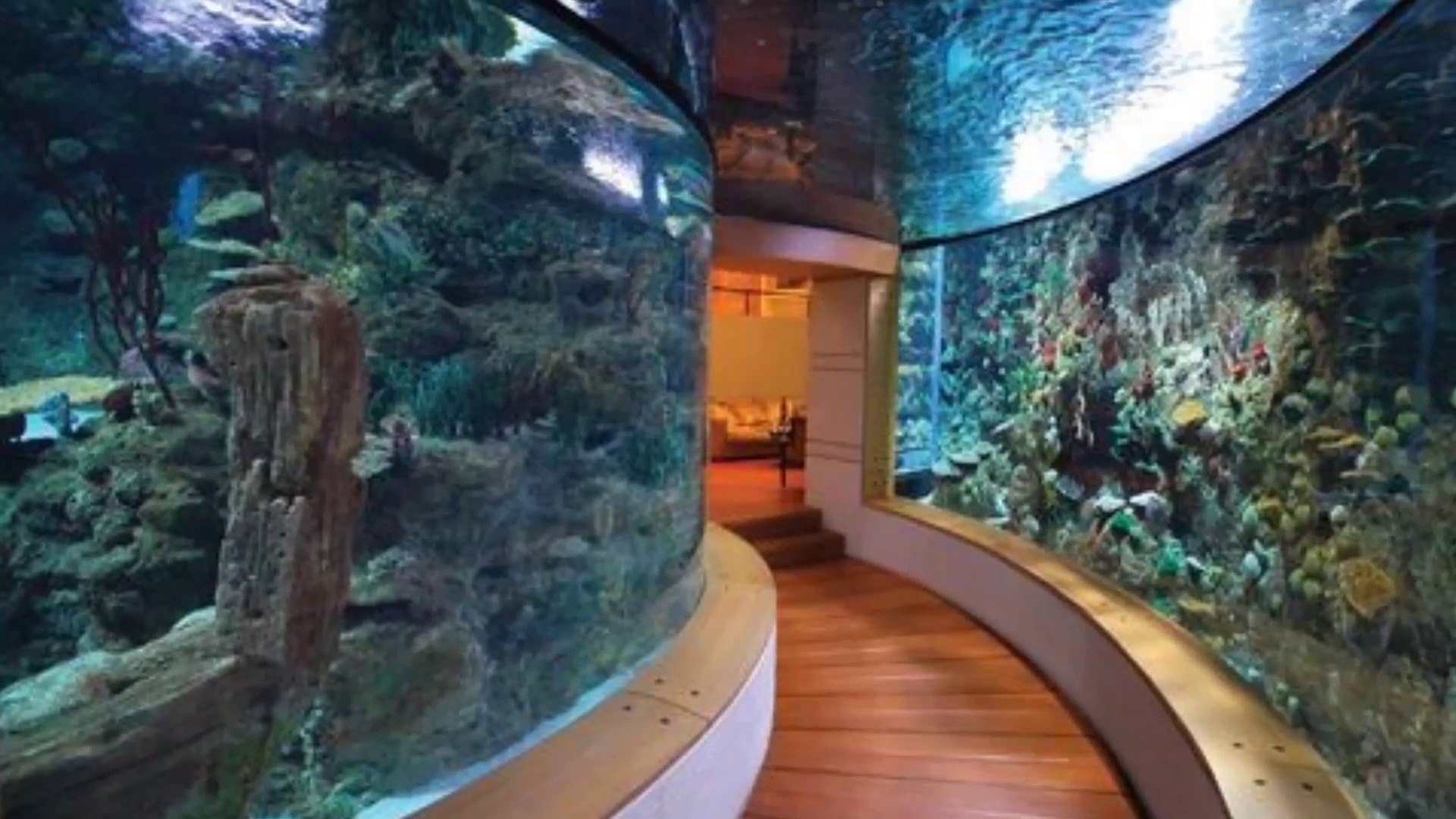 coolest fish tank in the world
