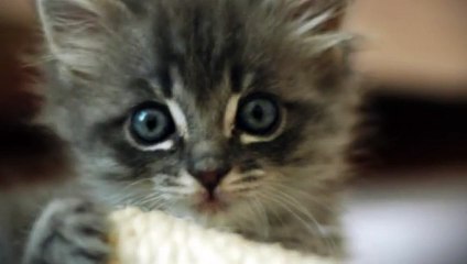 달성출장타이O7Os7575s0062｛카톡DDR88｝ぱ달성출장안@마ぱ달성출장샵ぱ달성출장맛사지 ぱ달성출장걸썰 달성출장걸가격 달성출장러시아 달성외국인후불출장업소 달성24시출장마사지샵'예약§∥∏