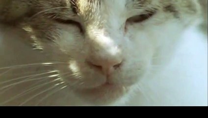 임실출장안마 -후불100%ョO7Ov7575v0069｛카톡CC6969｝ 임실전지역출장안마 임실오피걸 임실출장마사지 임실안마 임실출장마사지 임실콜걸샵‡♭