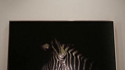 Maura Glass art -Painting detail of Animals Elephant/Lepard/Zebra