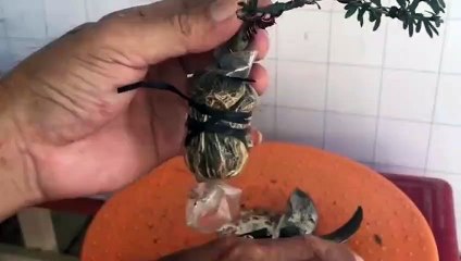 서천출장타이OiOg8109g5900｛카톡OYO78｝ぱ서천출장안@마ぱ서천출장샵ぱ서천출장맛사지 ぱ서천출장걸썰 서천출장걸가격 서천출장러시아 서천외국인후불출장업소 서천24시출장마사지샵'예약トドナ