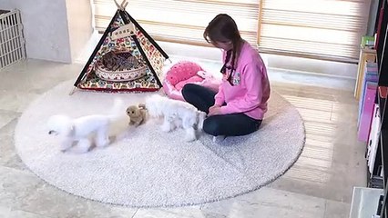 강릉출장안마 -후불100%ョO7OW7333W9649｛카톡LGT010｝ 강릉전지역출장안마 강릉오피걸 강릉출장마사지 강릉안마 강릉출장마사지 강릉콜걸샵эюя