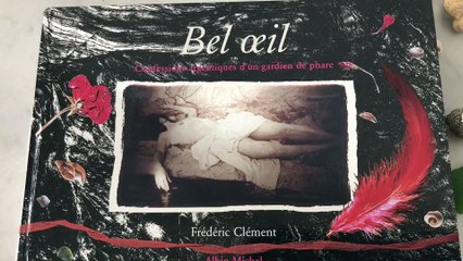 BEL OEIL (Roman aux Ed. Albin Michel)  : Lecture n°1