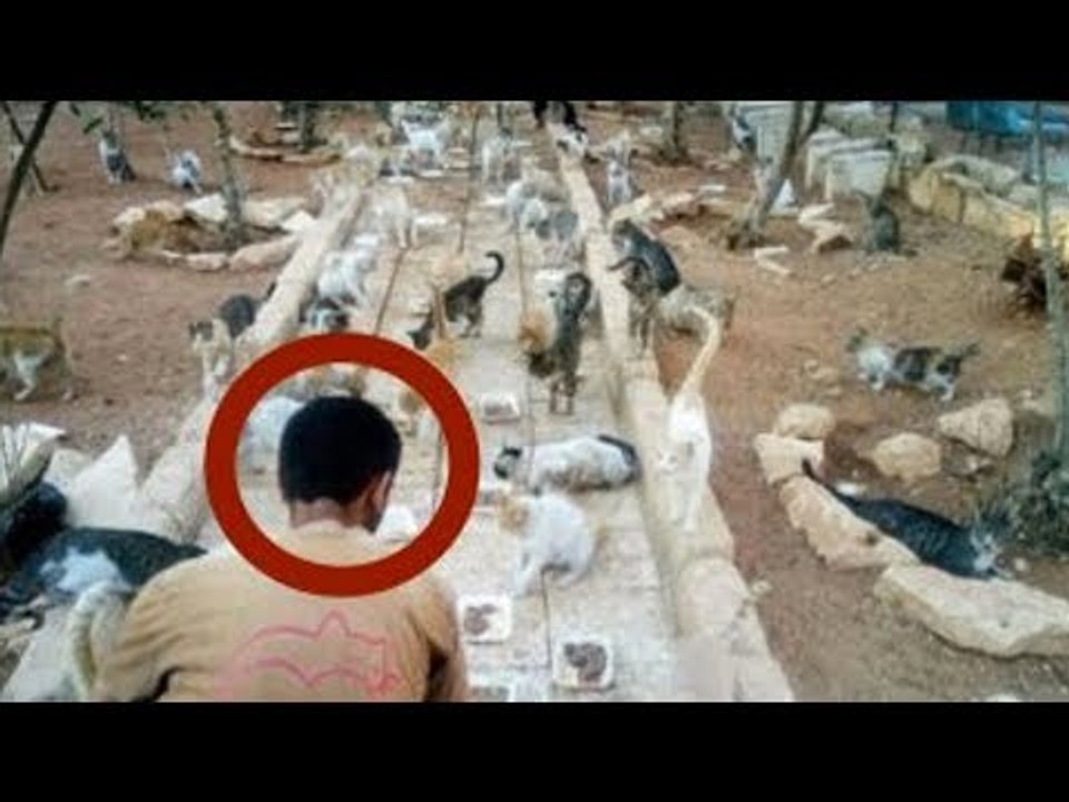 A Man Discovered A Problem In A Ghost Town That Nobody Was Taking Care Of...