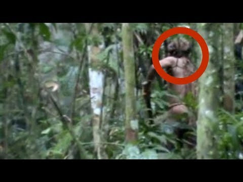 The Helicopter flies Over Rainforest. What It Rec...