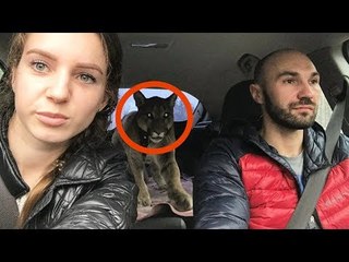 This Couple Took A Sick Animal Home, But Never...