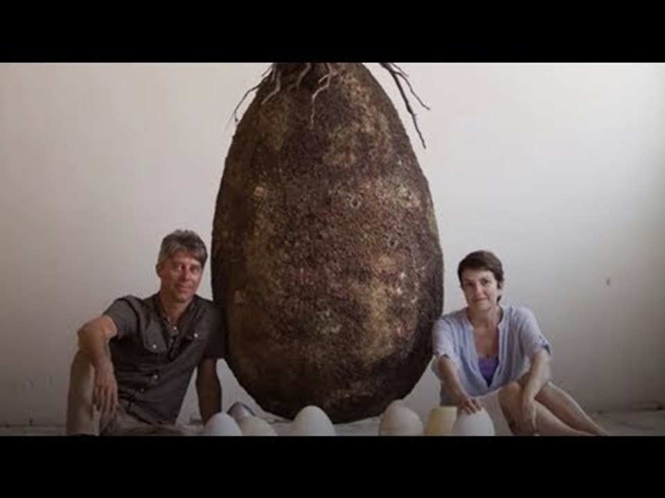 Prolong Your Life With This Peculiar Method