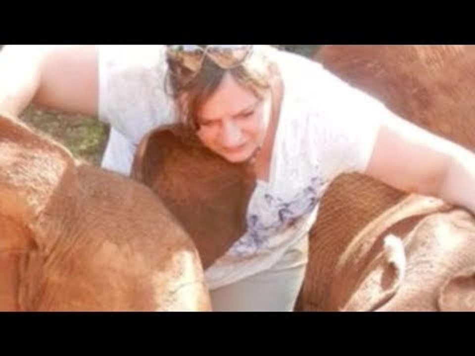 The Woman Saw What Was Happening To The Elephants...