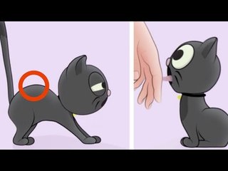 If You Notice Your Cat Doing THIS, It Wants To Be...