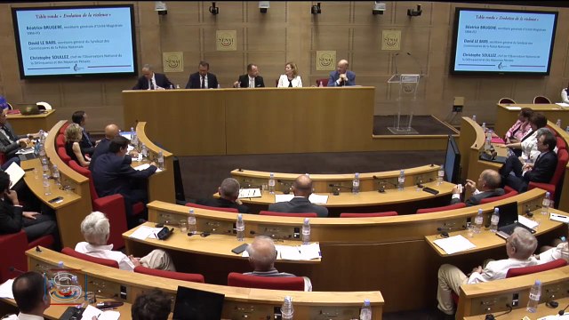 David Le Bars (Secrétaire général du Syndicat des Commissaires de la Police Nationale) - Colloque Lutter contre la violence en France