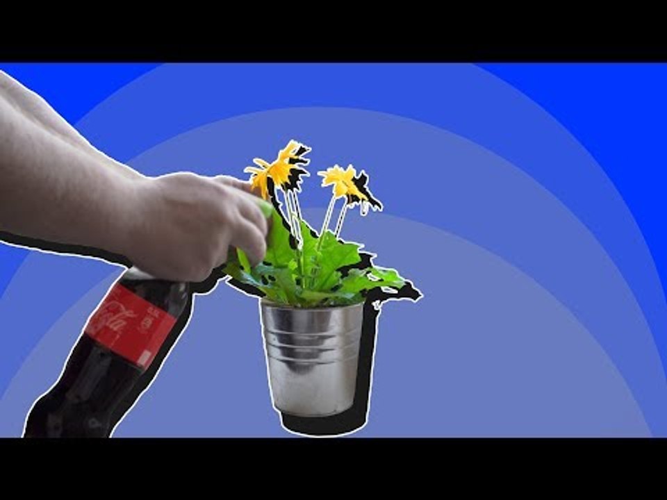 6 astuces du quotidien avec du Coca-Cola.
