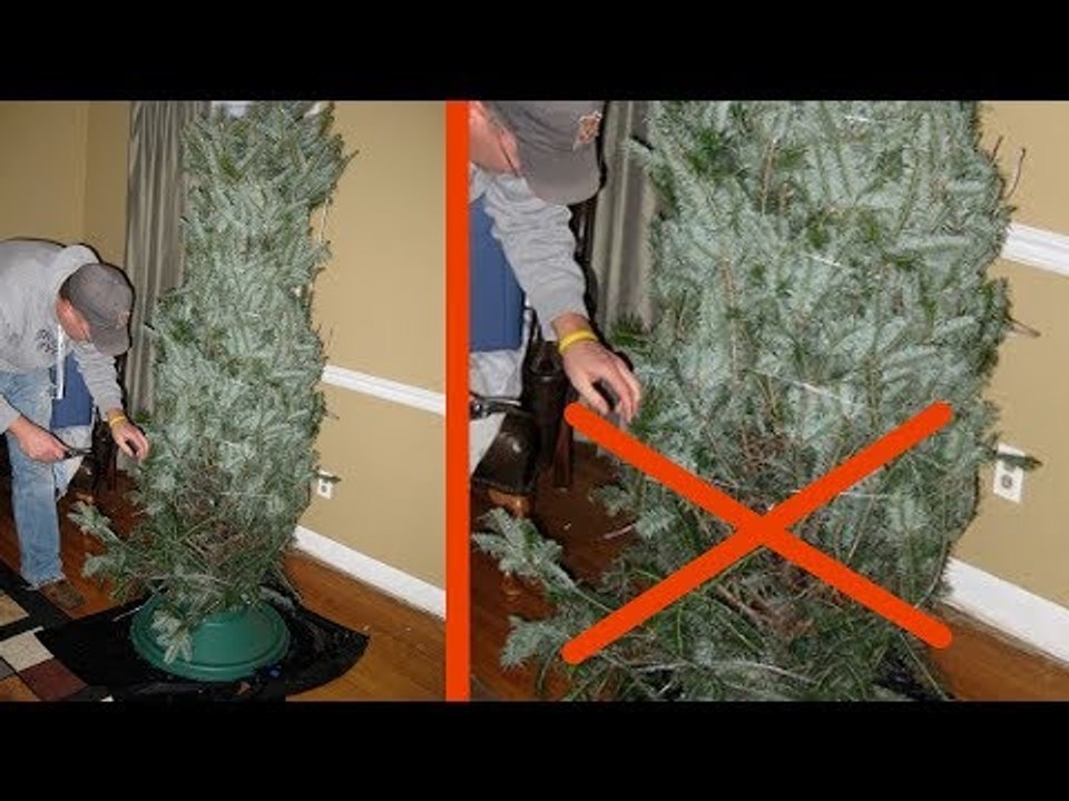 Ces 17 sapins de Noël ne perdront pas d'aiguilles, c'est garanti !