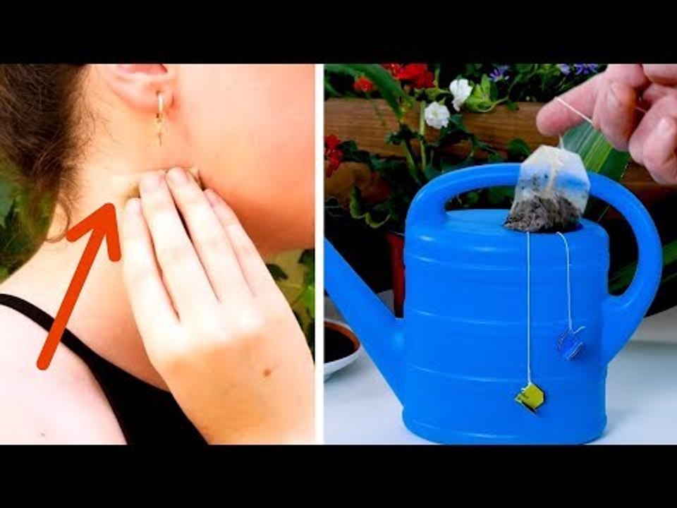 Ne jetez plus jamais les vieux sachets de thé ! Ils aident parfait...