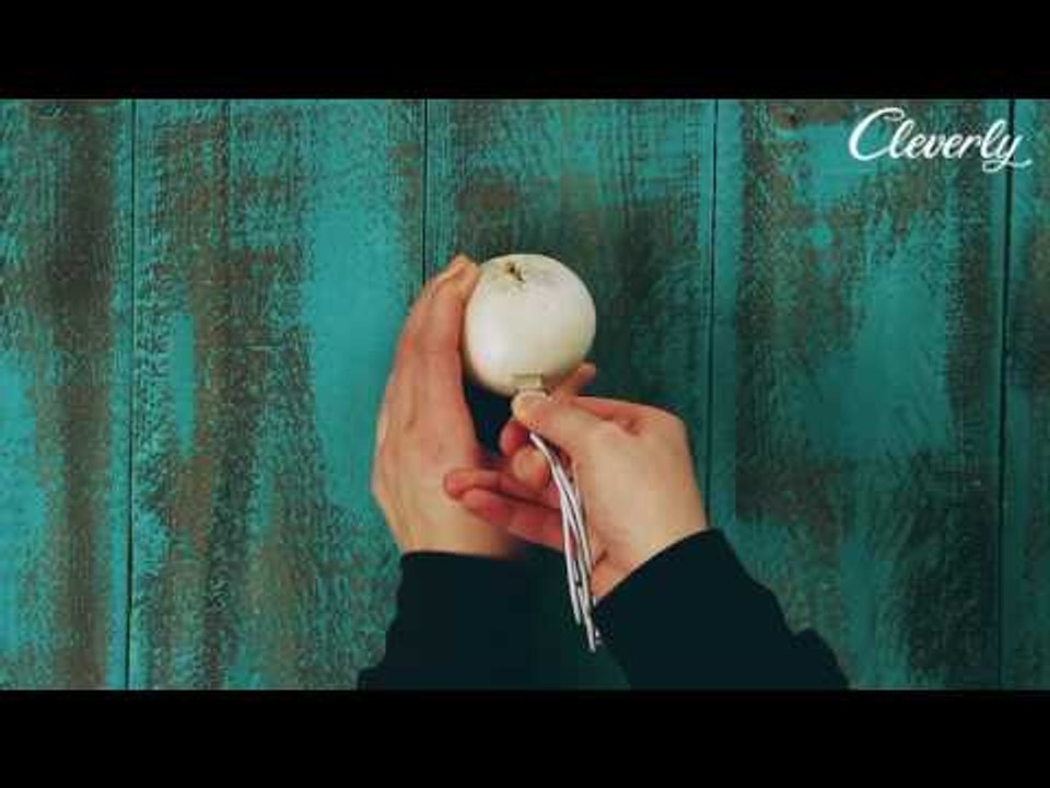 How To Charge Your Cell Phone With An Onion