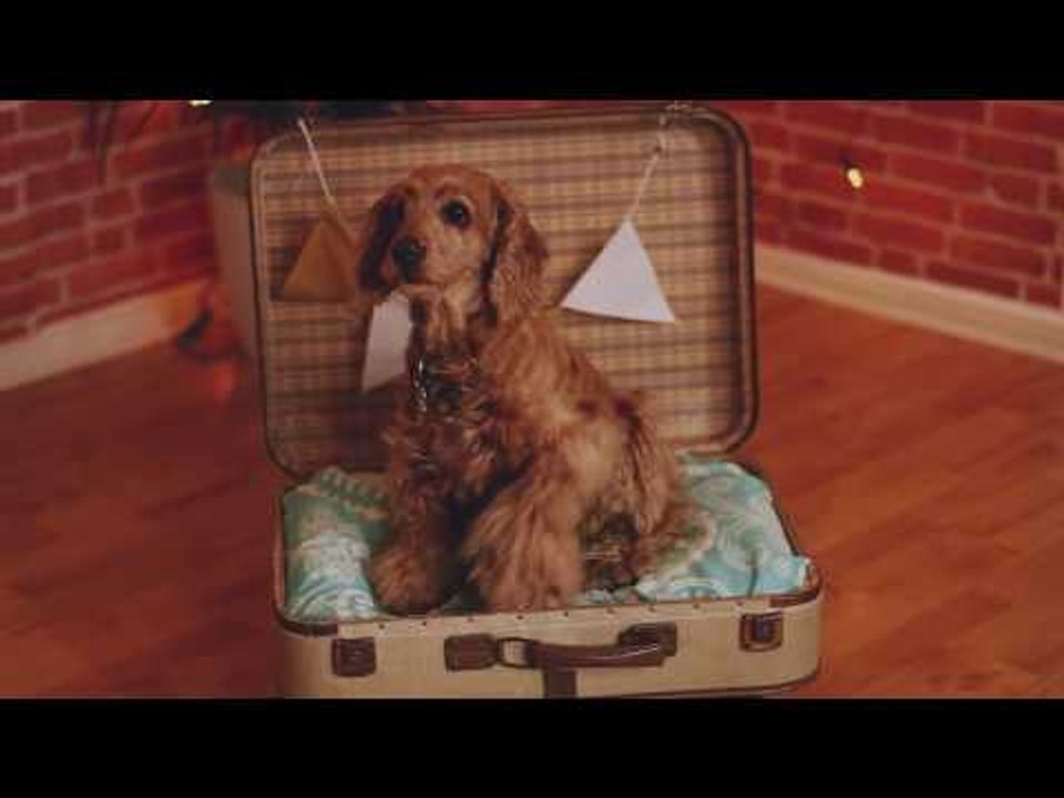 DIY Doggie bed