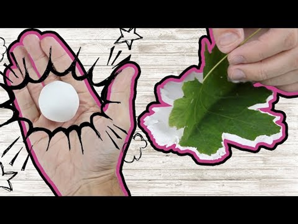 How To Make Fall-Themed Leaf Bowls