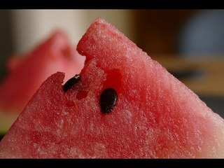 This Is What Melon Seeds Do To Your Body. Unbelievable!