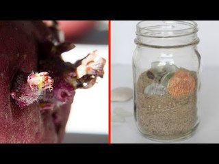 Never Bring These 10 Souvenirs Back From Vacation!