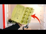 NEVER Toss Your Egg Cartons Out – It's Amazing What You Can Do With Them!
