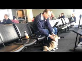 Ela pergunta se o cão está incomodando. Mas a resposta a deixa com água nos olhos.