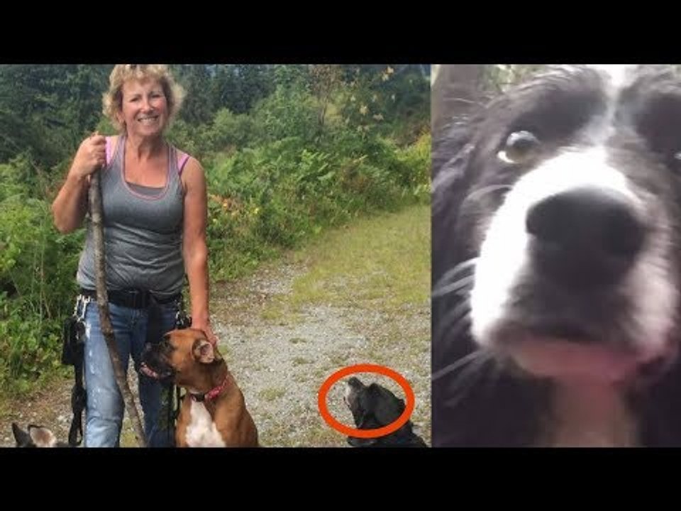 Depois de 3 dias, eles encontraram a mulher na floresta. O que seus ca…