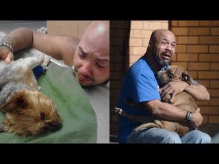 Estudo: nós ficamos mais de luto por cães do que por pessoas.