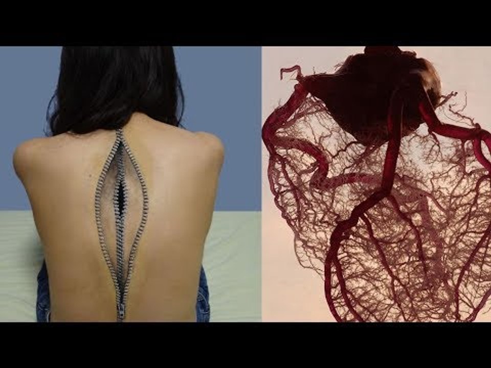 Estas verdades sobre o seu corpo vão te deixar…