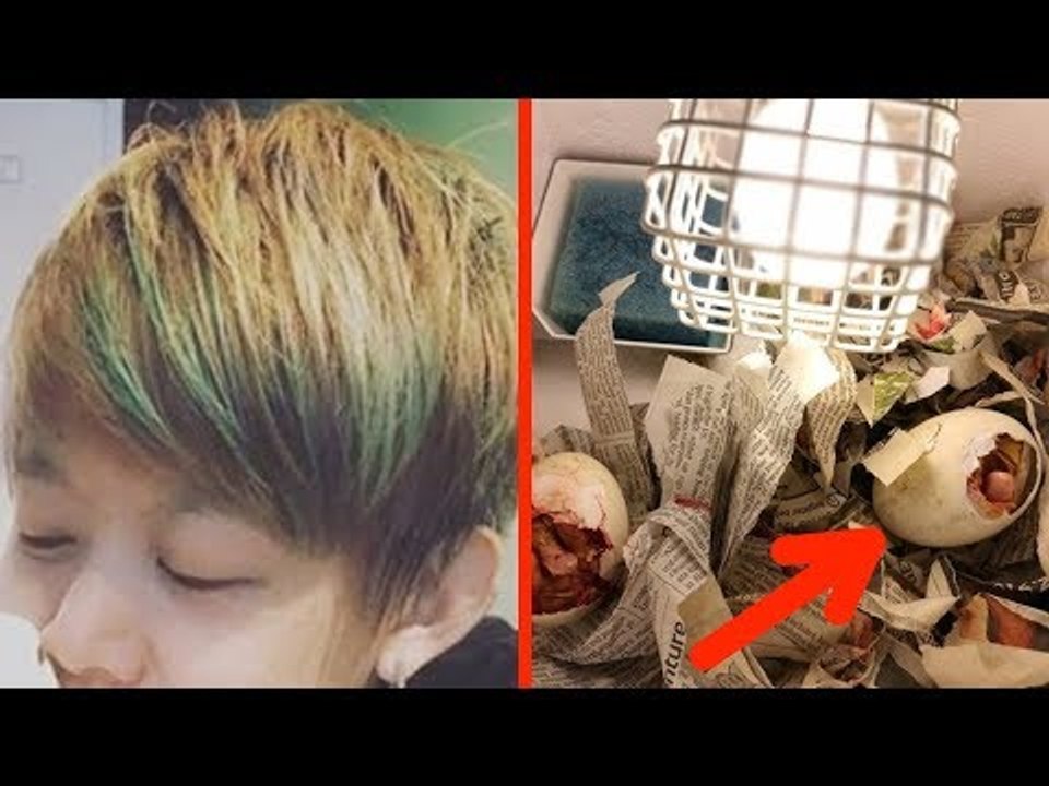 Ela resgata refeição viva e a adota como animal de estimação.