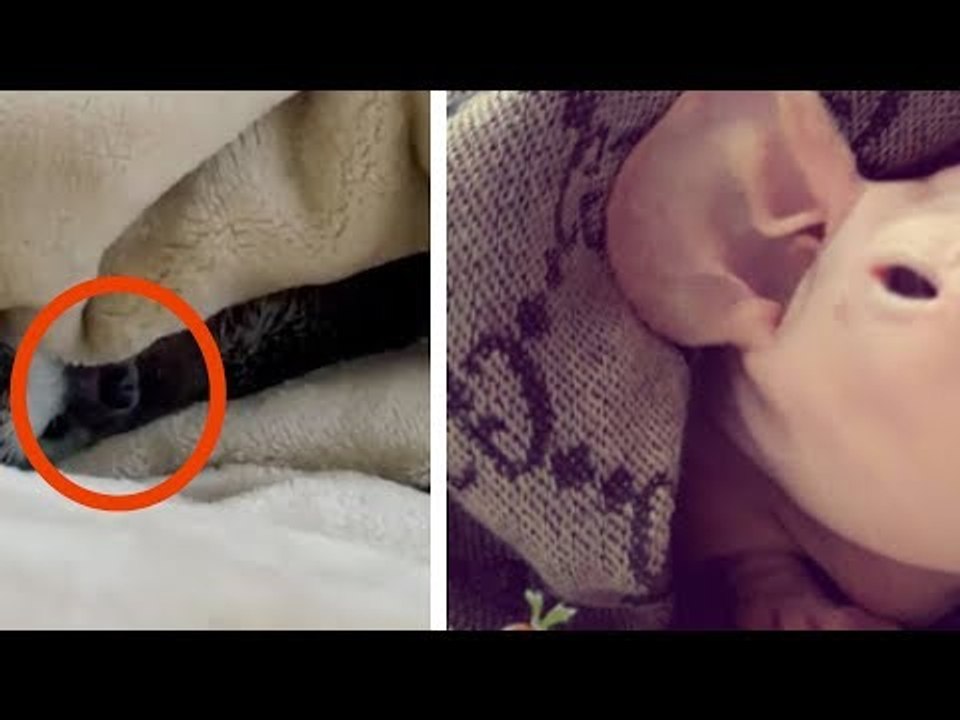 Estas fotos são inofensivas. Porém, o que elas fazem com o seu cor…