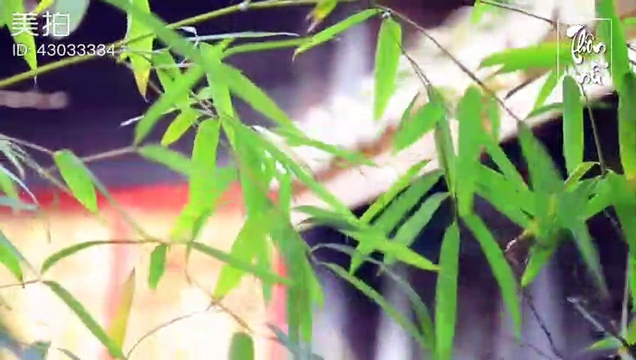 Trù Nam Vương Nhất Đao