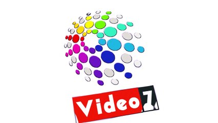 "الغردقة ومرسى علم" الأكثر الأماكن لانتشار الدلافين