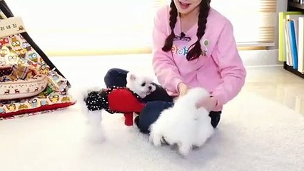 월미도출장안마 -후불100%ョØ1ØA7685A6221｛카톡PP888｝ 월미도전지역출장안마 월미도오피걸 월미도출장마사지 월미도안마 월미도출장마사지 월미도콜걸샵⊙♤℉