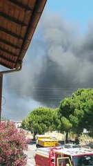 Départ de feu à Saint-Laurent-du-Var