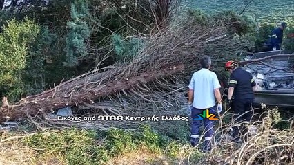 Αγροτικό βγήκε εκτός δρόμου και καταπλακώθηκε από δένδρα. Σώθηκε από θαύμα ο οδηγός