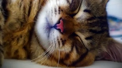 남동출장타이 O7Os7333s9649｛카톡VV23}ぱ남동출장안@마ぱ남동출장샵ぱ남동출장맛사지 ぱ남동출장걸썰 남동출장걸가격 남동출장러시아 남동외국인후불출장업소 남동24시출장마사지샵'예약きぎく