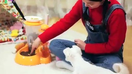 광양출장안마 -후불100%ョØ1ØA7685A6221｛카톡PP888｝ 광양전지역출장안마 광양오피걸 광양출장마사지 광양안마 광양출장마사지 광양콜걸샵где