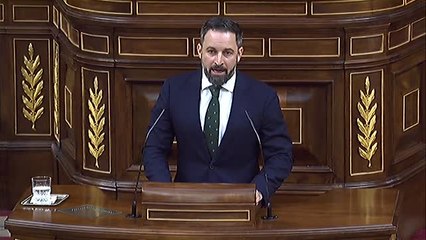 Abascal: "Nunca apoyaremos a la marioneta que ustedes quieren colocar al frente del Gobierno"