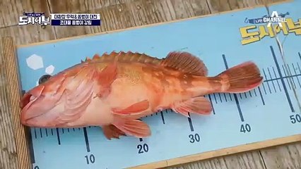 드라마 홍보하러 나왔다며;; 첫 낚시 성공에 텐션 up↑된 상엽^^ 근데 물고기 못 만짐ㅋㅋㅋ