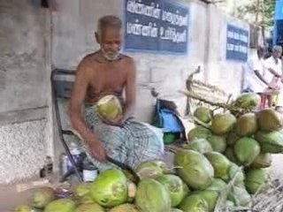 Coco nut