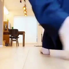 Ce bébé Galago suit sa maîtresse partout où elle va. Trop mimi !