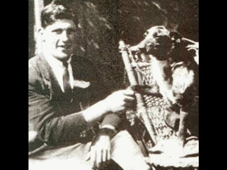 Les 8 animaux avec la plus grande espérance de vie : N° 3...