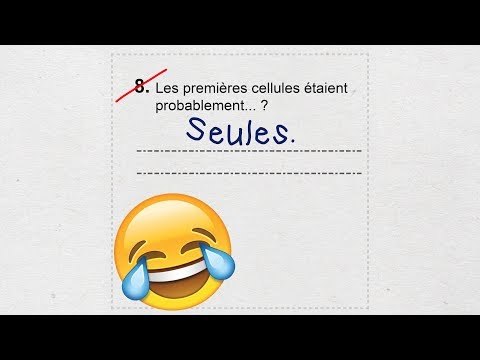 13 réponses d'élèves hilarantes à des contrôles en classe.