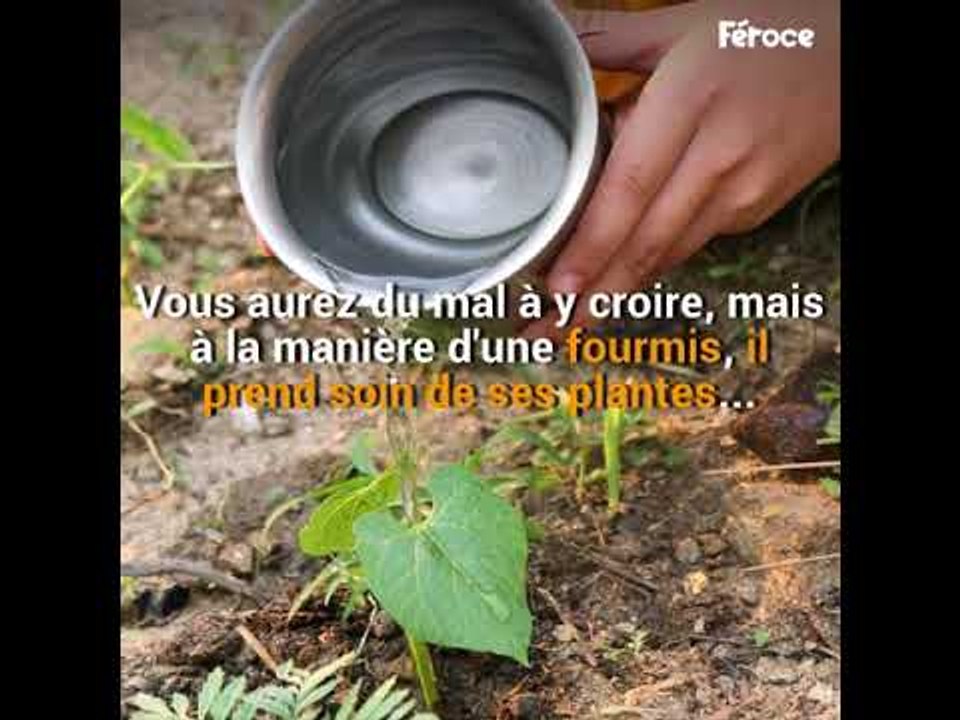 À 16 ans, il enterre quelque chose dans le désert. 37 ans plus tard, l'endroit est méconnaissable.