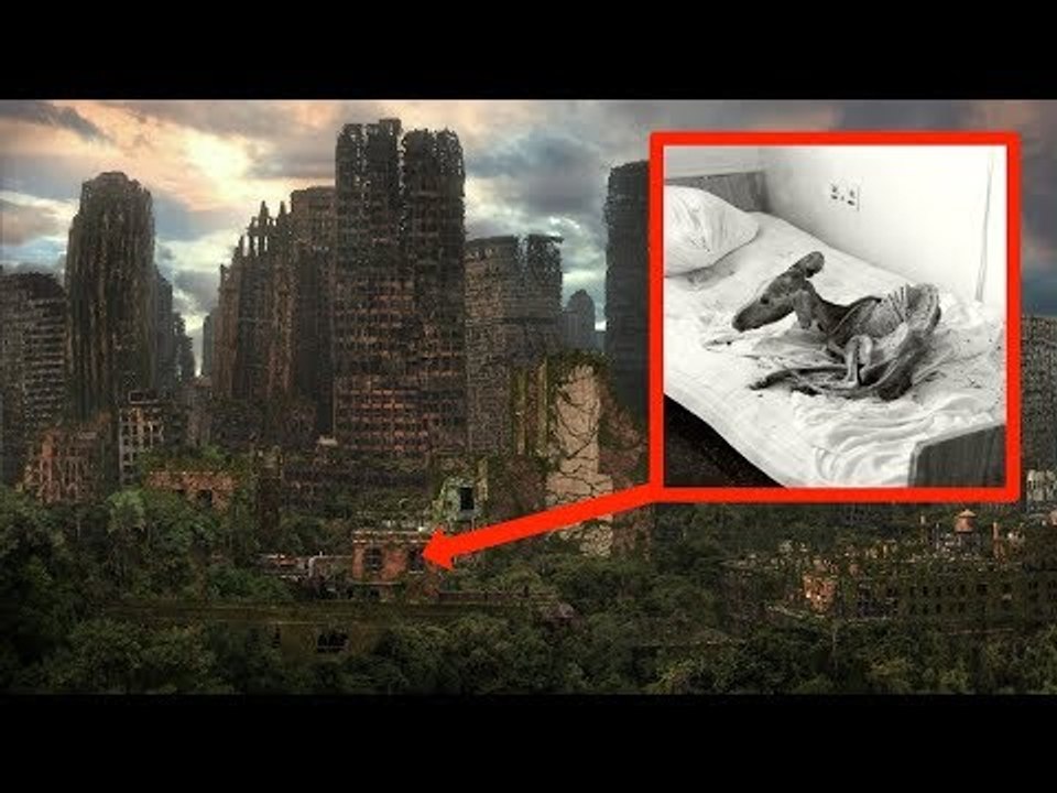 Voilà à quoi ressemblerait la Terre si les humains disparaissaient ! Tout n'est...