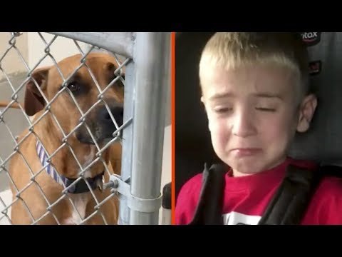 Le garçon de 4 ans demande quelque chose à sa mère. Quand elle en...