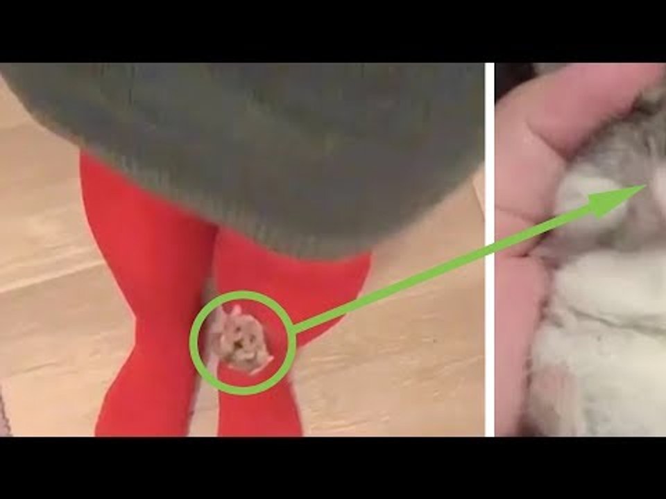 Ce que cette femme tient dans sa main va conquérir votre cœur en quelques secondes !