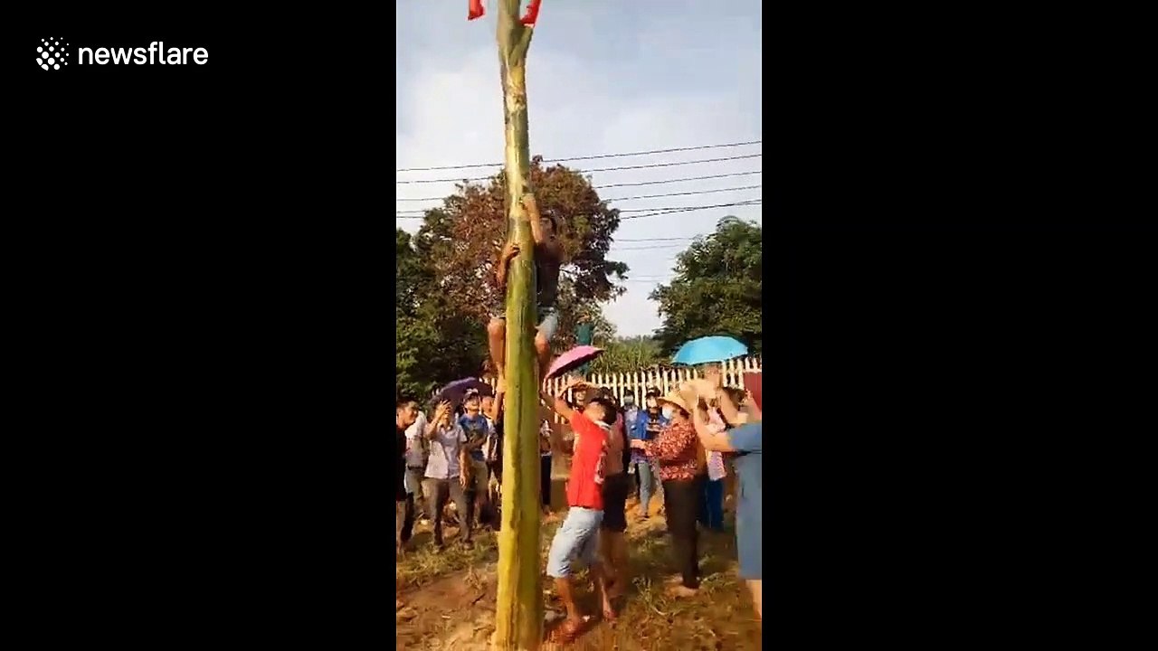 Vietnamese locals partake in hilarious banana tree climbing competition